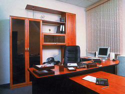 По каким параметрам выбирать офисный шкаф?